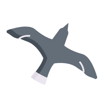 Bird, Animated Icon, Flat