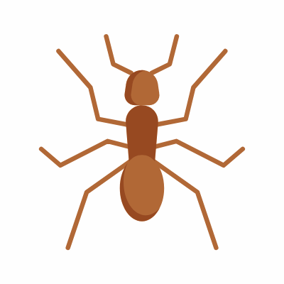 Ant, Animated Icon, Flat