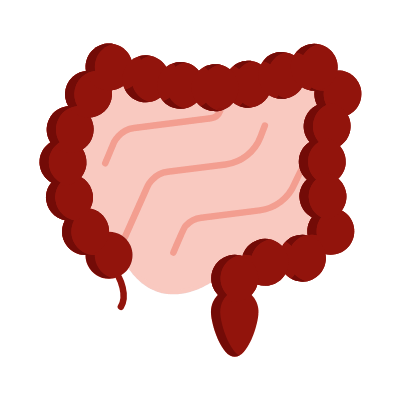 Intestines, Animated Icon, Flat