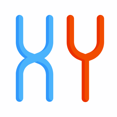 Chromosomes, Animated Icon, Flat