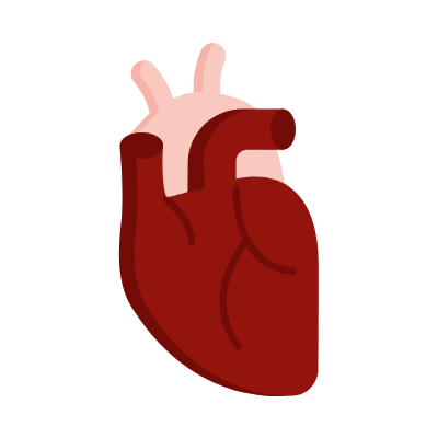 Heart, Animated Icon, Flat