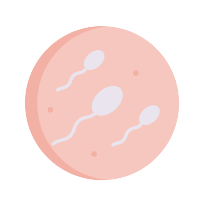 Embryo, Animated Icon, Flat