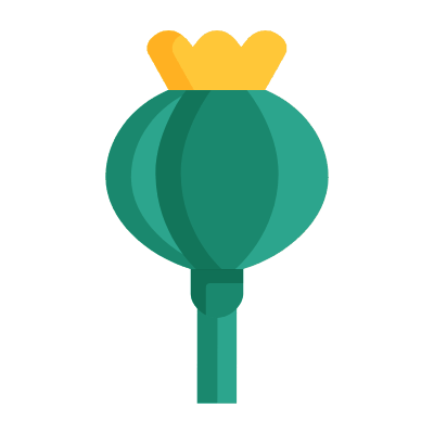 Poppy, Animated Icon, Flat