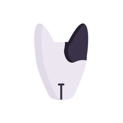 Dog head, Animated Icon, Flat