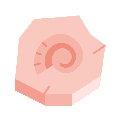 Fossil, Animated Icon, Flat