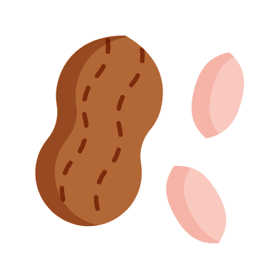 Nuts, Animated Icon, Flat