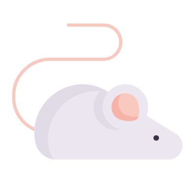 Mouse, Animated Icon, Flat