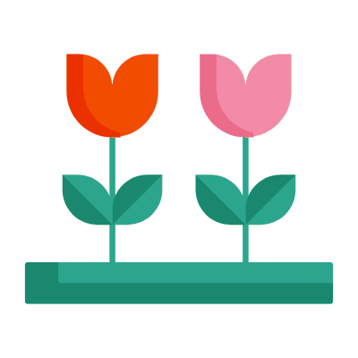 Tulips, Animated Icon, Flat
