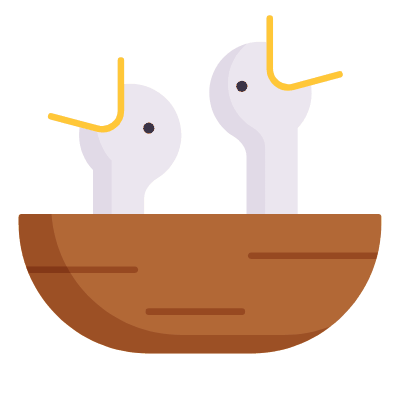 Nestlings, Animated Icon, Flat