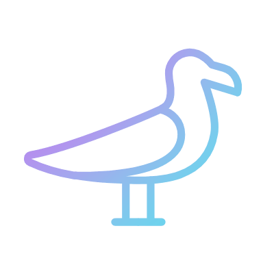 Seagull, Animated Icon, Gradient