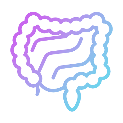 Intestines, Animated Icon, Gradient
