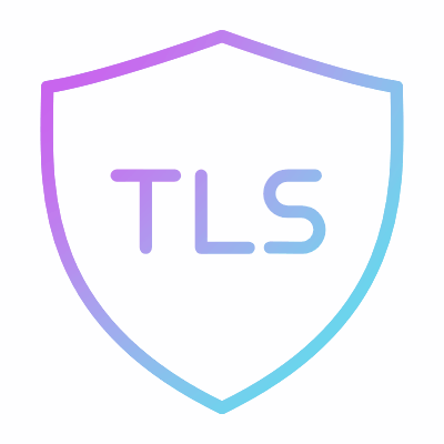 Shield TLS, Animated Icon, Gradient