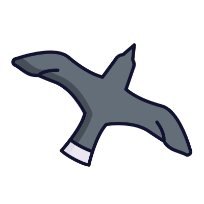 Bird, Animated Icon, Lineal