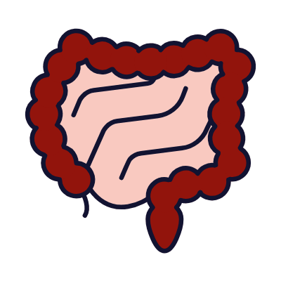 Intestines, Animated Icon, Lineal
