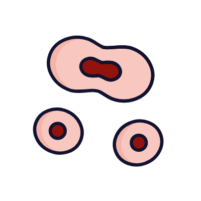 Cell Division, Animated Icon, Lineal