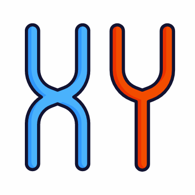 Chromosomes, Animated Icon, Lineal
