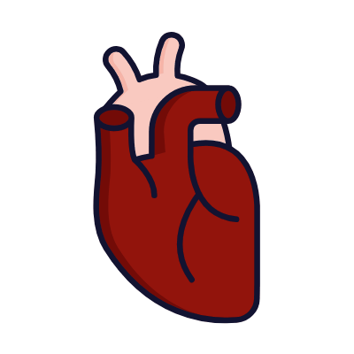 Heart, Animated Icon, Lineal
