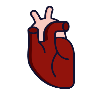 Heart, Animated Icon, Lineal