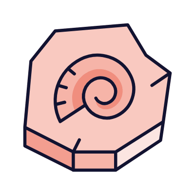Fossil, Animated Icon, Lineal