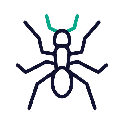 Ant, Animated Icon, Outline