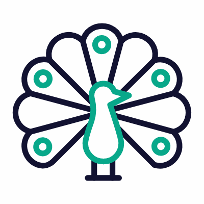 Peacock, Animated Icon, Outline