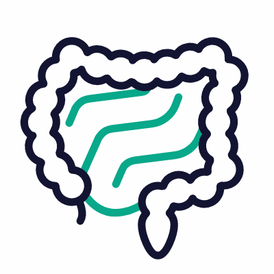 Digestion, Animated Icon, Outline