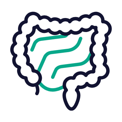 Intestines, Animated Icon, Outline