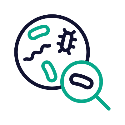 Bacterias Magnifier, Animated Icon, Outline