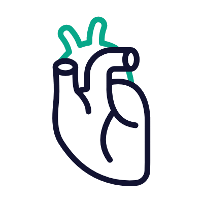 Heart, Animated Icon, Outline