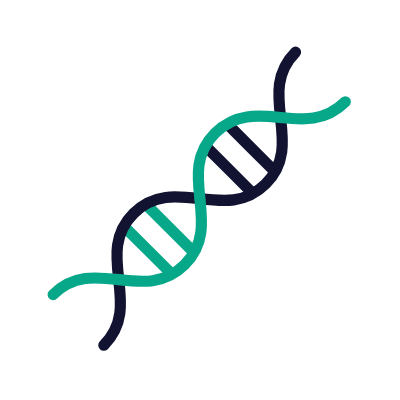 Dna Structure, Animated Icon, Outline