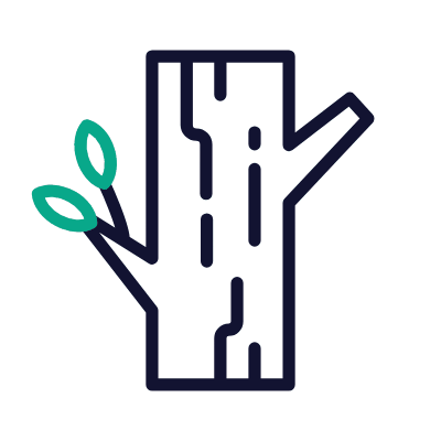 Trunk Wood, Animated Icon, Outline