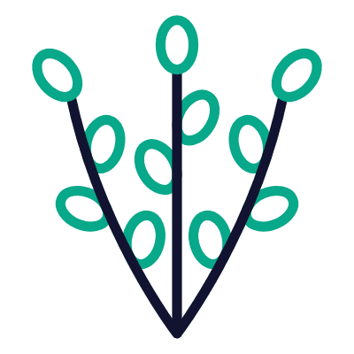 Willow, Animated Icon, Outline