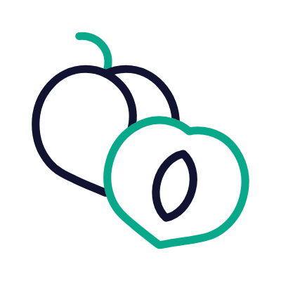 Apricot, Animated Icon, Outline