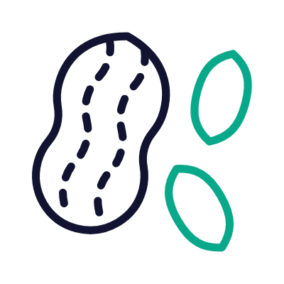 Nuts, Animated Icon, Outline