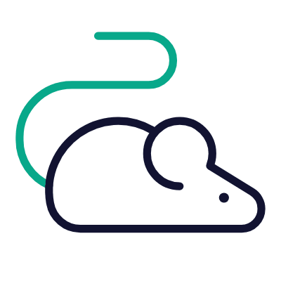 Mouse, Animated Icon, Outline