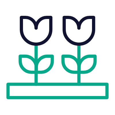 Tulips, Animated Icon, Outline